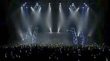11.gif